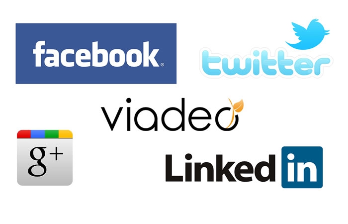 Création et Animation de vos réseaux sociaux et blogs (Facebook, Twitter, Google+, Viadeo, LinkedIn)